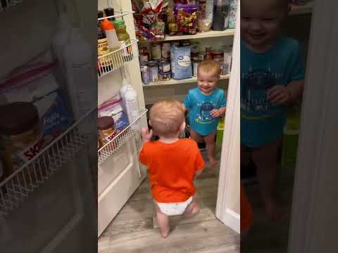 funny moments babies #funny #kids #kidsvideo #tiktok