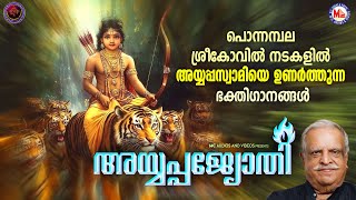 പൊന്നമ്പല ശ്രീകോവിൽ നടകളിൽ അയ്യപ്പസ്വാമിയെ ഉണർത്തുന്ന ഭക്തിഗാനങ്ങൾ | Ayyappa Songs Malayalam