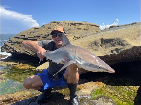 Land Based Shark Fishing: Bouddi National Park