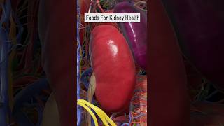 Top 6 Best Foods For Kidney Health #kidneyhealth #kidneydiet #healthyfood