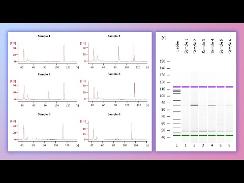 Forensic DNA Profiling, Part 2