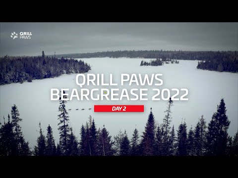 Beargrease Highlight | DAY 2 | QRILLPAWS 2022