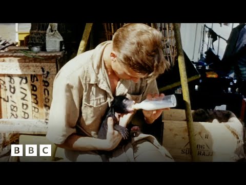 Experience David Attenborough's first expedition in colour | BBC Global