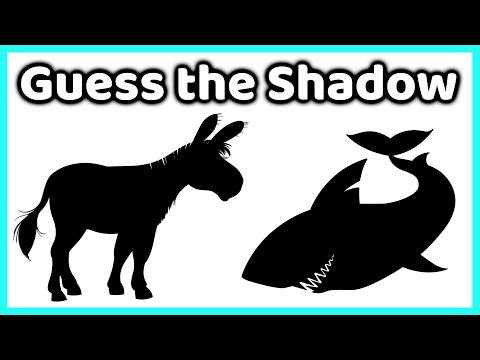 Fun Animal Shadow Quiz 🐾