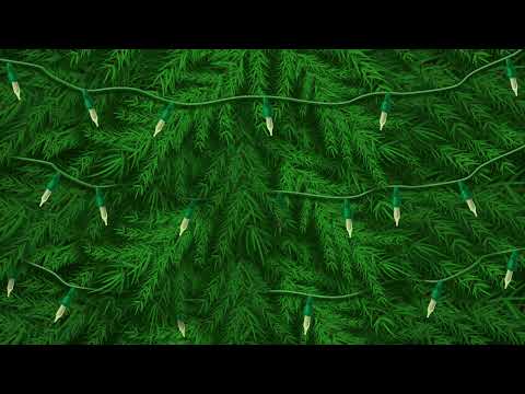 Christmas Tree Lights Blinking | HD Relaxing Screensaver