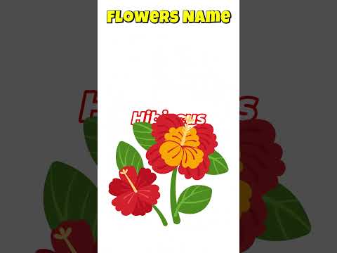 Flower's Name