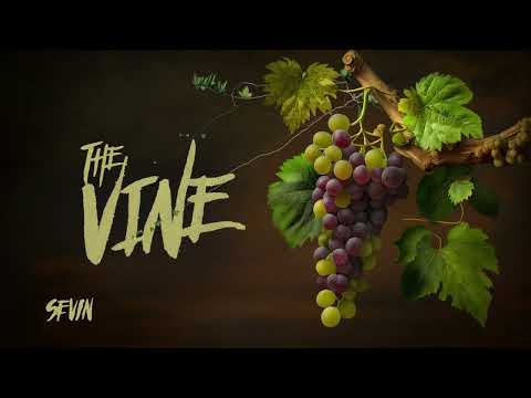 SEVIN - "THE VINE" VISUALIZER - SUBCRIBE! Mozes Album available now #sevin #mozes #rap #hiphopmusic