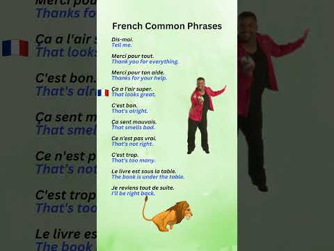 French Common Phrases Part 11 #LearnFrench #FrenchPhrases