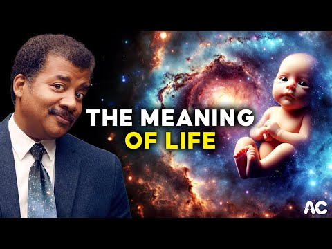 Neil deGrasse Tyson | THE MEANING OF LIFE