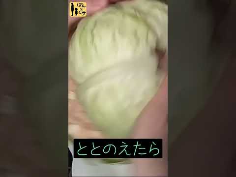 【ぽんとぐみ炊飯器マジック】マリトッツォ