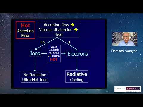 Hot Accretion Flows Around Black Holes