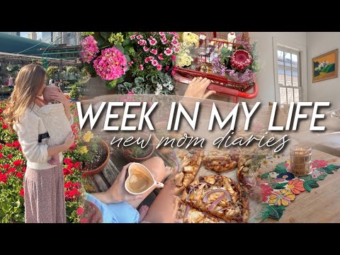 WEEK IN MY LIFE | honest motherhood thoughts, zoo outing, sleep struggles, & Trader Joe’s haul!