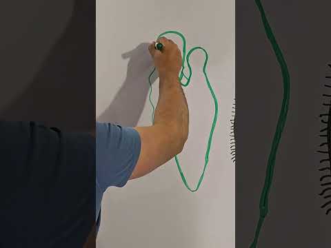 Drawing Euglena: How to Draw Euglena (Euglena Diagram Biology) #biology