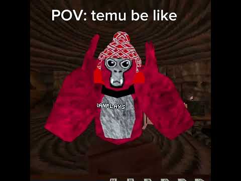 POV: temu