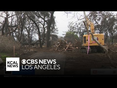 Some Altadena homeowners taking debris cleanup into own hands after Eaton Fire