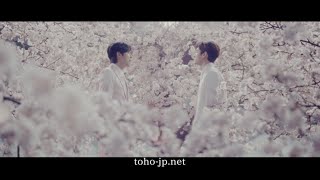 東方神起 / 10周年記念シングル「サクラミチ」30秒SPOT