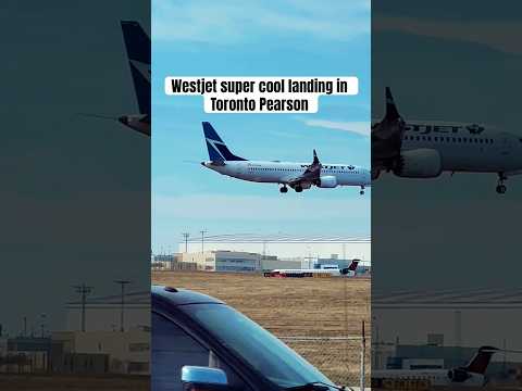 Westjet landing in Toronto Pearson Airport #canada #aviation #yyzplanespotting