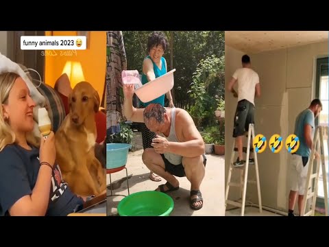 New Funny and Fail Videos 2023 😂 Cutest People Doing Funny Things 😺😍 #ytshorts #funny #viral