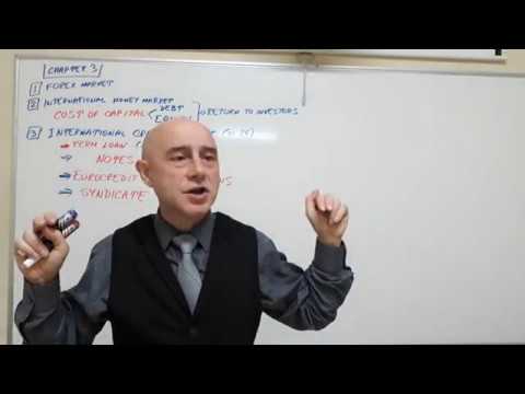 International Finance - Lecture 13