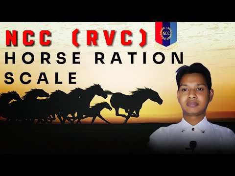 Birender Sir|| Horse Ration Scale||NCC (RVC)|| All india Ncc.