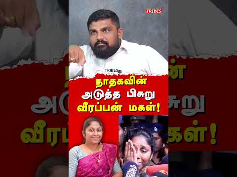 NTK Seeman & Vijayalakshmi Case - Sathyaprabhu exposes Veerappan Daughter Vidya & Seeman | Kasthuri