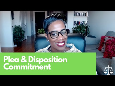 PLEA AND DISPOSITION - COMMITMENT