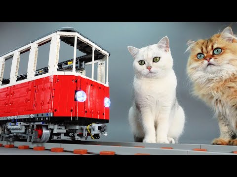 Building a Cat-Sized Lego Train