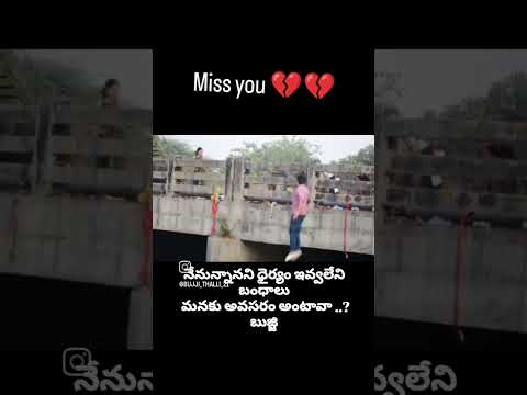 Miss you bangaram 💔💔💔😭#sadstatus#sadstatusvideo#broken_heart_status_video#lovefailurewhatsappstatus