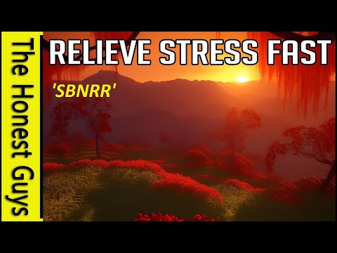 6 Minute Stress Relief (SBNRR)