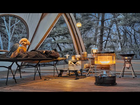 Solo Camping in a Cozy Tent with My Dog . Relax and Sleep in Cozy . Wood Stove ASMR