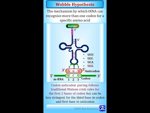 Wobble hypothesis in one minute