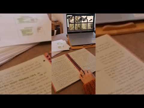 30MIN BODYDOUBLE STUDY SESSION - study with me with cozy LoFi music