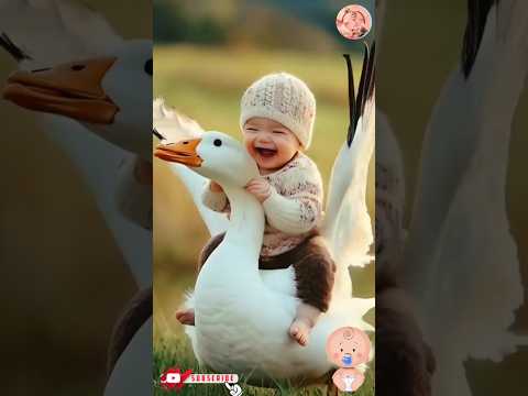 Cute 🦢🦤 || babies shorts video || #cute #shortsfeed #ytshorts