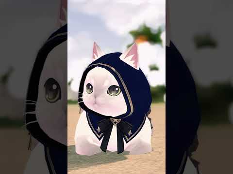 chipi chipi chapa chapa but Mabinogi #mabinogi #cat #memes