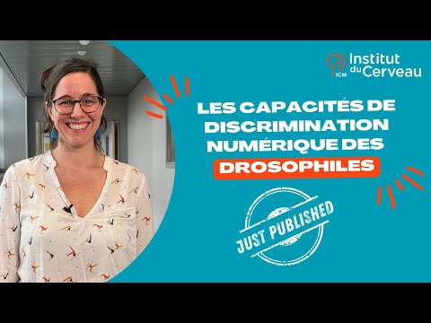 Just Published - Les capacités de discrimination numérique des drosophiles