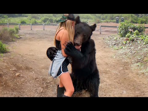 When Animals Don't Forget Their Owners | Animal Reunion After Years !