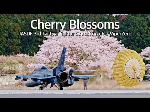 [百里基地]　2024 桜満開 アフターバーナー全開！F-2戦闘機　Cherry blossoms in full bloom　JASDF 3SQ F-2 ViperZero