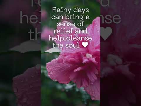 GentleRain Lullabies https://youtube.com/live/nYgzp9_Vzps #rain #relax #rainsounds