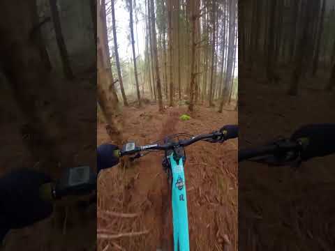 Es tut in der Seele weh! #mtb #downhill #mountainbike #gopro #mtblife #fail #mtbfail