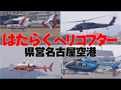 空港ではたらくヘリコプター！県営名古屋空港/航空自衛隊小牧基地 2025.2.28