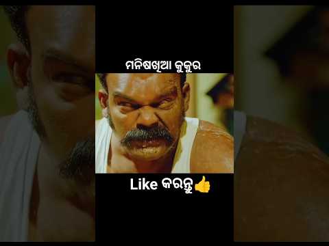 ମଣିଷଖିଆ କୁକୁର😱 #shorts #youtubeshorts #odiagapa #natia #odiacomedy #odiamoralstory #kahani