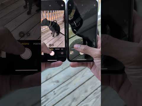 iPhone 16e Vs iPhone 11 Camera Zoom Test