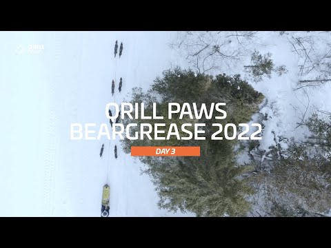 Beargrease Highlight | DAY 3 | QRILLPAWS 2022