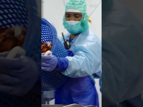 Here’s an inside look at how thousands of pounds of #Maine #lobster meat are processed daily.