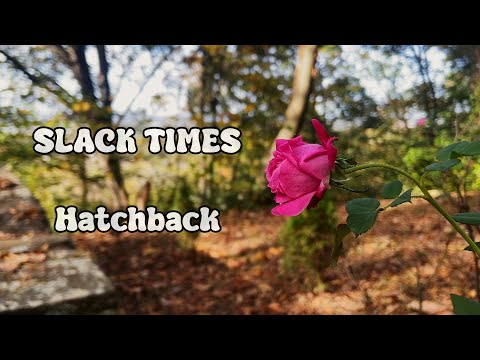 SLACK TIMES - " Hatchback" (Official video)