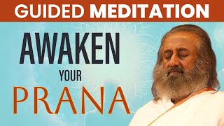 Tap into Infinite Energy | Guided Meditation | Gurudev