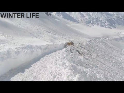 ZOJILA PASS Current status Work in progress NH1 | Huge Avalanches zojila road