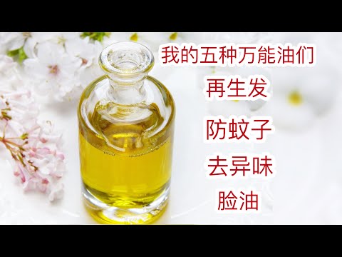 我的万能油们:蓖麻油 防止禿頭再生发油 除脚臭油 防蚊子油 涂脸油 蓖麻油 茶油 cedar wood oil 等等