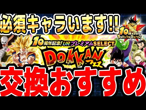 URプレミアム龍石4の交換おすすめキャラ紹介｜#10周年キャンペーン ｜ドッカンバトル【ソニオTV】