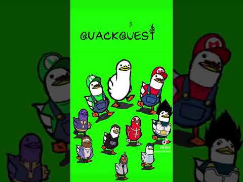 Quackquest